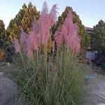 Magnet 别墅 洛泽内茨