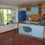 Magnet *