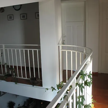 Magnet * 洛泽内茨